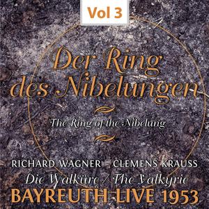 Josef Greindl&Orchester der Bayreuther Festspiele&Clemens Krauss《Die Walküre. 1. Aufzug. 2. Szene: Ich weiß ein wildes Geschlecht》[MP3_LRC]