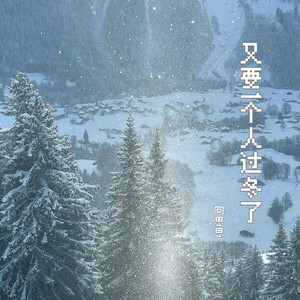 向思思 - 又要一个人过冬了