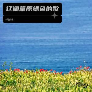 呼斯楞《辽阔草原绿色的歌》[MP3_LRC]