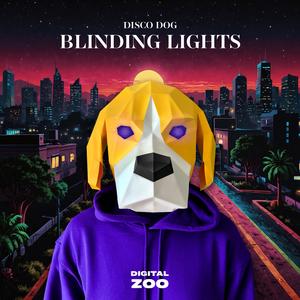 Disco Dog - Blinding Lights