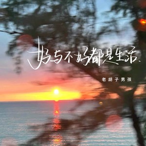 老胡子男孩《好与不好都是生活》[MP3_LRC]