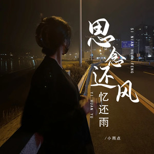 小雨点《思念还风忆还雨(DJ彭锐版)》[MP3_LRC]