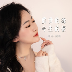 赵洋 - 前世的缘今生的债