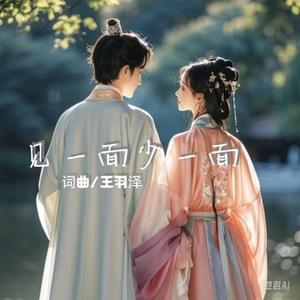 王羽泽《见一面少一面(DJ阿远版)》[MP3_LRC]