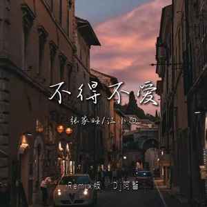 DJ阿智《如果爱忘了(DJ阿智版)》[MP3_LRC]