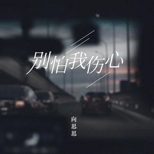 向思思《别怕我伤心(Dj降调版)》[MP3_LRC]