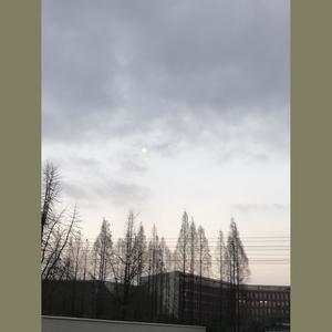 李泽轩《午后的淮师音乐学院》[MP3_LRC]