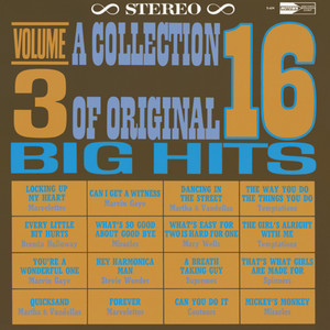 Martha & the Vandellas《Dancing In The Street("16 Big Hits" Version)》[MP3_LRC]