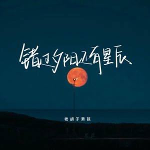 老胡子男孩《错过夕阳还有星辰》[MP3_LRC]