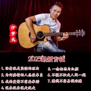 沙梦天 - 来不及爱就要告别DJ