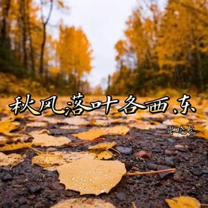 贾晓龙 - 秋风落叶各西东