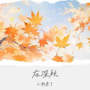 小野来了《在深秋 (她一定比我成熟)》[MP3_LRC]