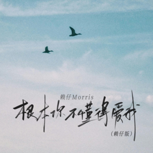 赖仔Morris《根本你不懂得爱我(赖仔版)》[MP3_LRC]