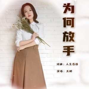 王娜《为何放手（DJ女声版）(伴奏)》[MP3_LRC]