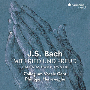 Peter Kooy&Collegium Vocale Gent&Philippe Herreweghe《Liebster Gott, wenn werd ich sterben, BWV 8: IV. Aria "Doch weichet, ihr tollen, vergeblichen Sorgen"》[MP3_LRC]