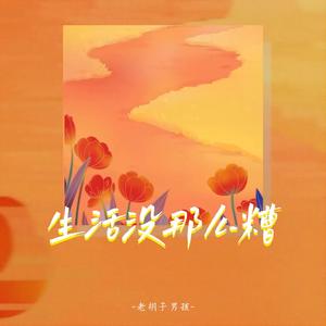 老胡子男孩《生活没那么糟》[MP3_LRC]