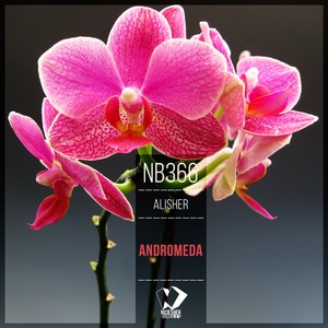 Alisher《Andromeda(Original Mix)》[MP3_LRC]