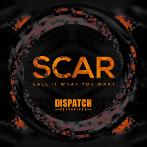 Scar《Call It What You Want》[MP3_LRC]