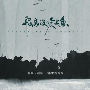 阿辰（阎辰）&格雷西西西《飞鸟没爱上鱼》[MP3_LRC]