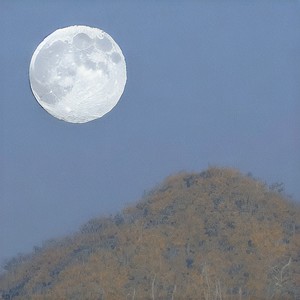 沈星月 - 月亮翻过小山坡