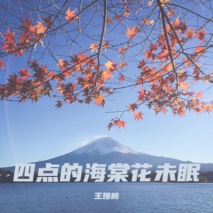 王娅楠 - 四点的海棠花未眠