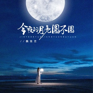 魏佳艺《今夜的月亮圆不圆（DJBanan版）》[MP3_LRC]