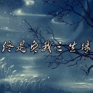 贾晓龙 - 终是负我三生缘