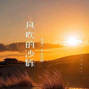 洋澜一&方大树 - 风吹的沙砾