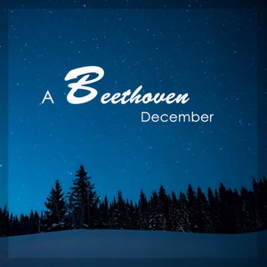 Eduard Brunner&Marie-Luise Neunecker&Stefan Schweigert&Thomas Zehetmair&James VanValkenburg&Cheryl House&Alois Posch - 5. Scherzo. Allegro molto e vivace