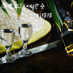 刘阳阳 - 酒过三巡叹沧桑（DJ默涵版）