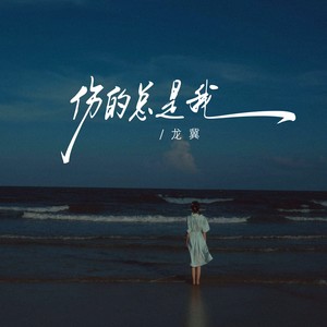 龙翼 - 伤的总是我