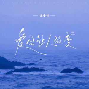 张小葵 - 爱会让人改变