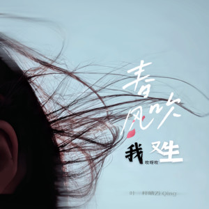 叶梓晴 - 春风吹我又生