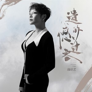 魏佳艺 - 遗憾的过客