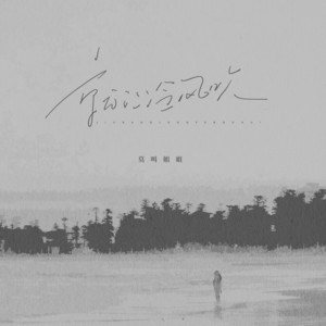 莫叫姐姐 - 就让冷风吹