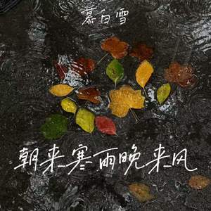 慕白雪 - 朝来寒雨晚来风