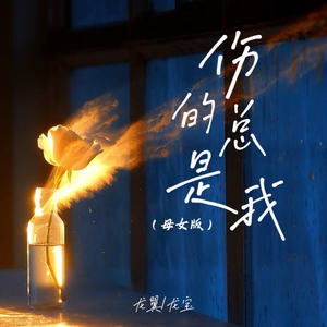 龙翼&龙宝 - 伤的总是我