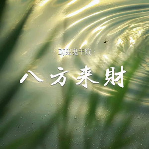 DJ鬼鬼于航 - 八方来财
