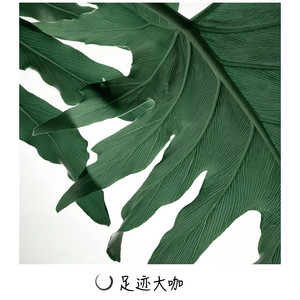 明历MUSIC&上官静 - Autum