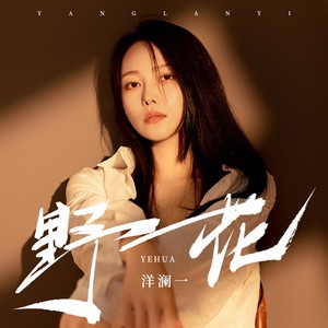洋澜一 - 野花