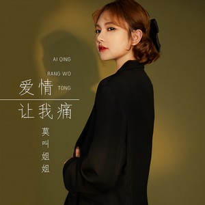 莫叫姐姐 - 爱情让我痛