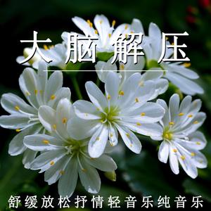 轻松舒缓 - 放松抒情（轻音乐）