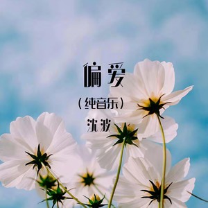 沈波 - 偏爱