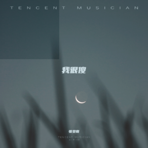 张斐南 - 我很傻