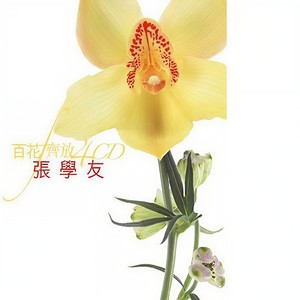 张学友 - 丝丝记忆