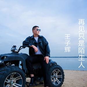 王子辉&少薇《最后一句抱歉》[MP3_LRC]