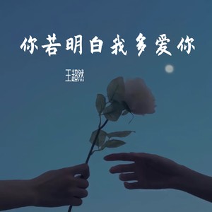 王超然 - 你若明白我多爱你