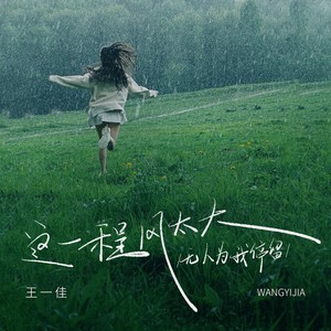 王一佳 - 这一程风太大(无人为我停留)