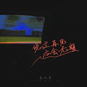 赵乃吉 - 说过再见后会无期