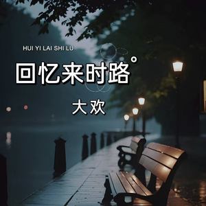 大欢《回忆来时路(伴奏)》[MP3_LRC]